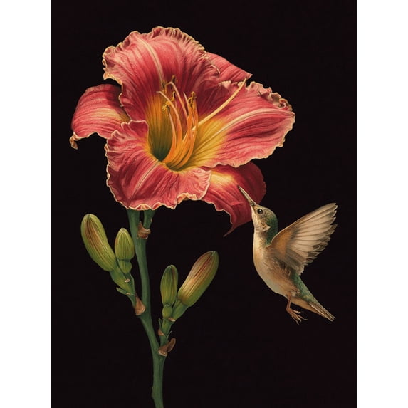 Hummingbird and Lily Flower Canvas Print, Wall Decor for Living Room Bedroom Office Dining Room Hallway