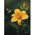 thumbnail image 1 of Hummingbird and Yellow Lily Canvas Print, Wall Art for Living Room Bedroom Dining Room Entryway Office Hotel, 1 of 8