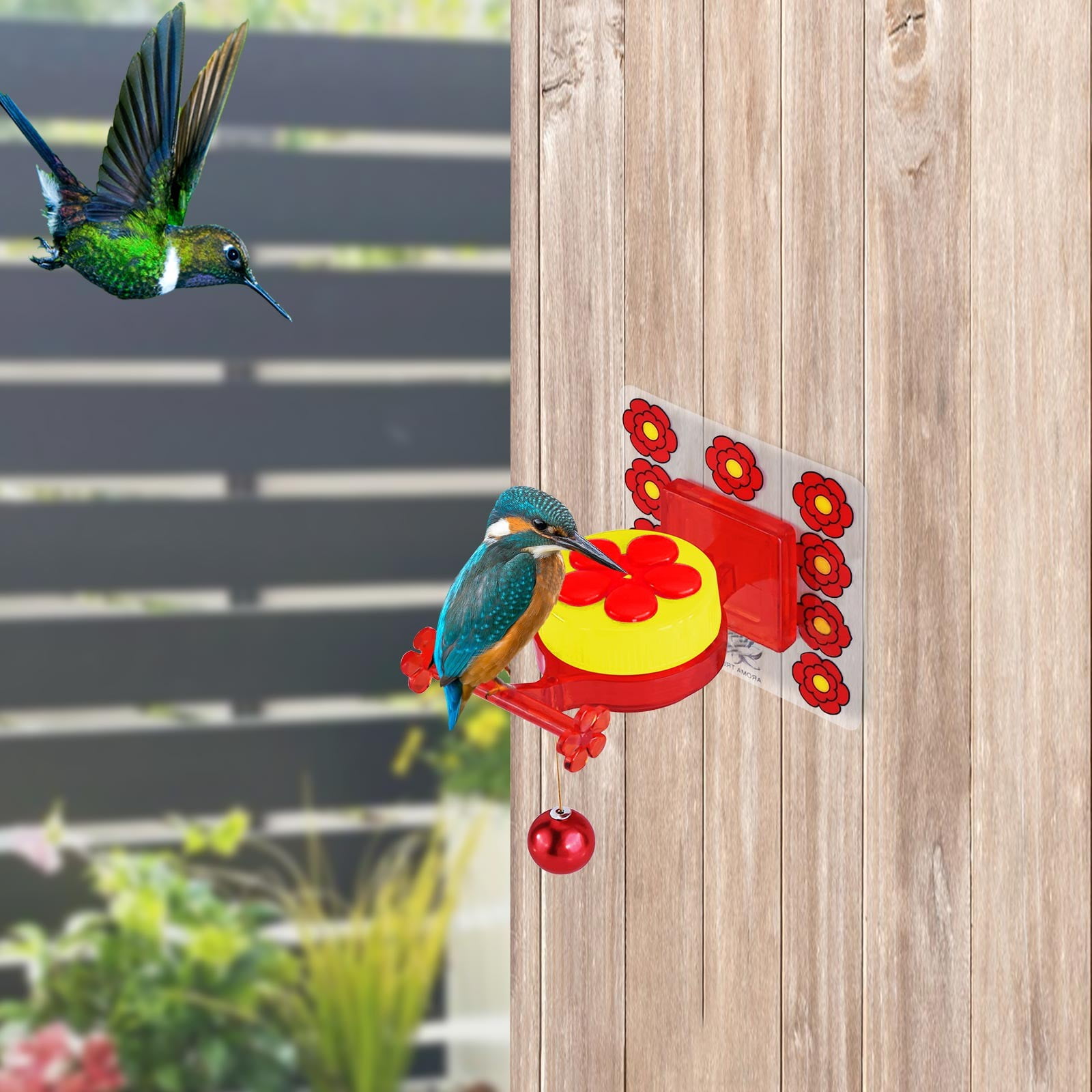 Hummingbird feeder New hummingbird feeder that allows hummingbirds to