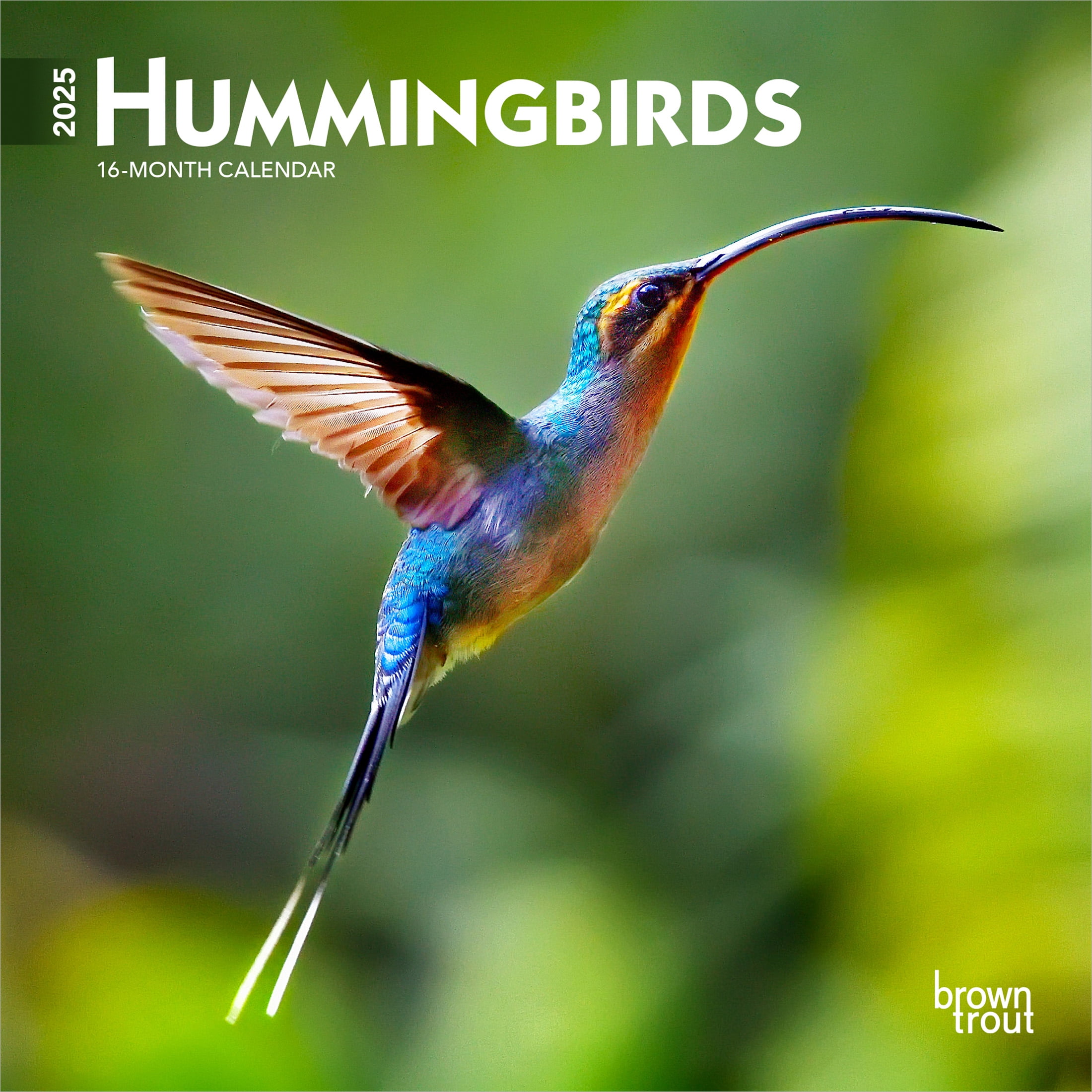 Hummingbirds 2025 7x14" (Hanging) Mini Wall Calendar BrownTrout