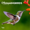 thumbnail image 1 of Hummingbirds | 2026 7x14" (Hanging) Monthly Mini Wall Calendar | BrownTrout, 1 of 9