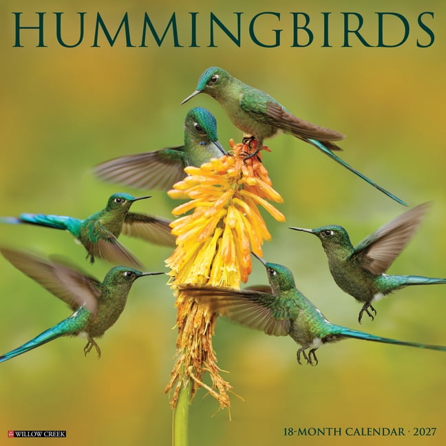 Hummingbirds 2027 12 X 12 Wall Calendar, (Paperback)