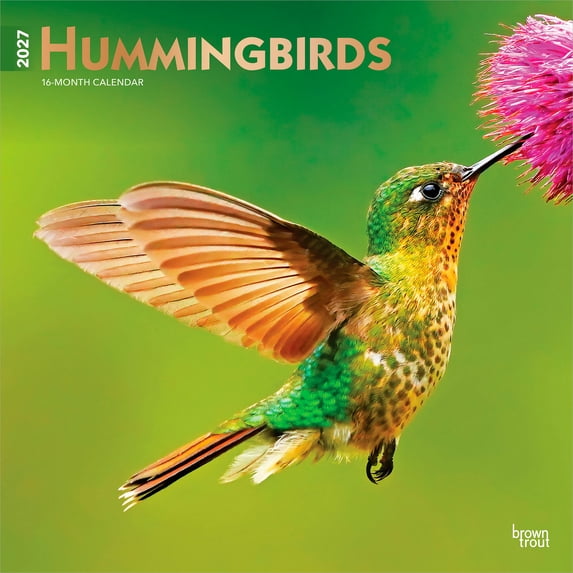 Hummingbirds | 2027 12x24" (Hanging) Wall Calendar | Plastic-Free | BrownTrout