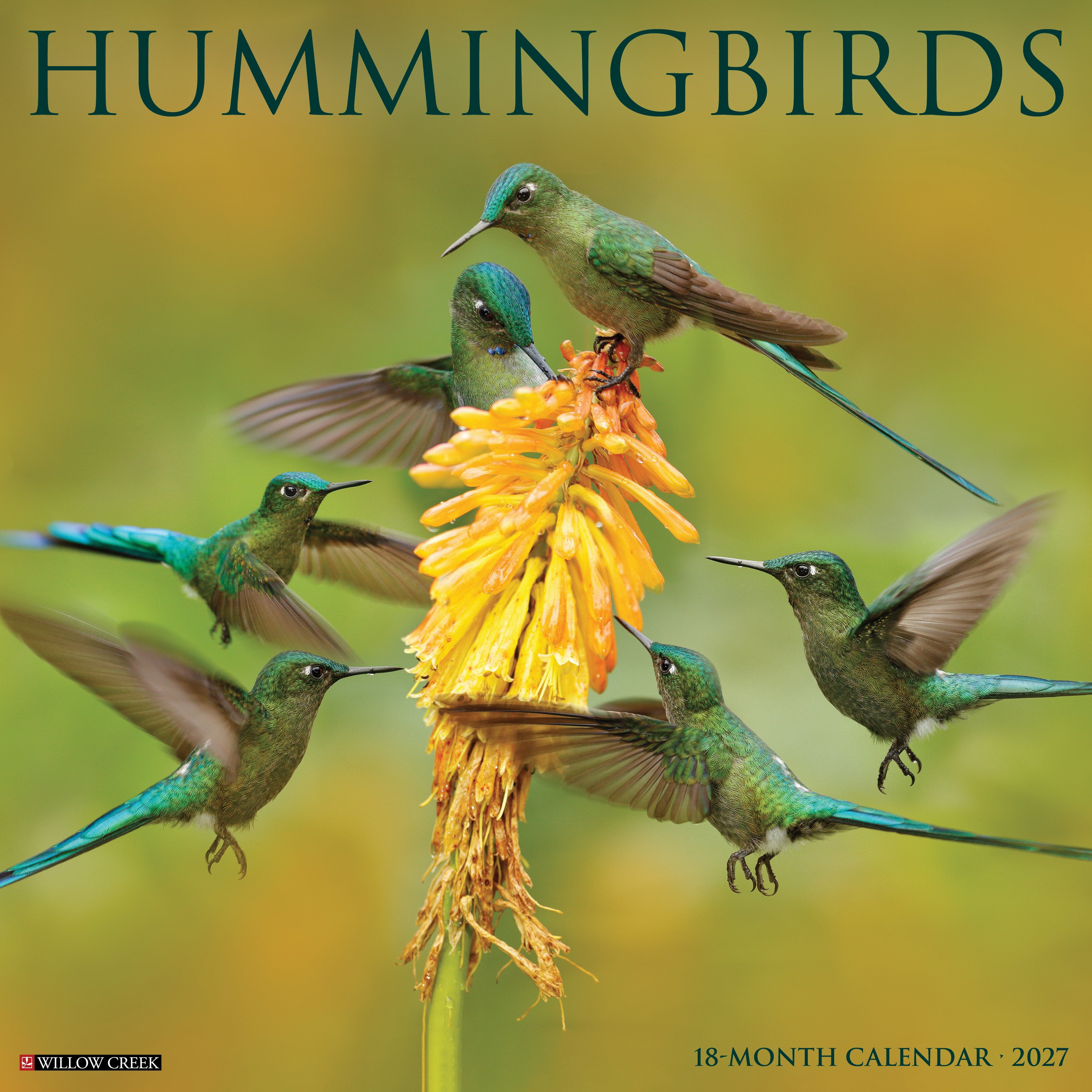 Willow Creek Press, Hummingbirds 2027 Wall Calendar