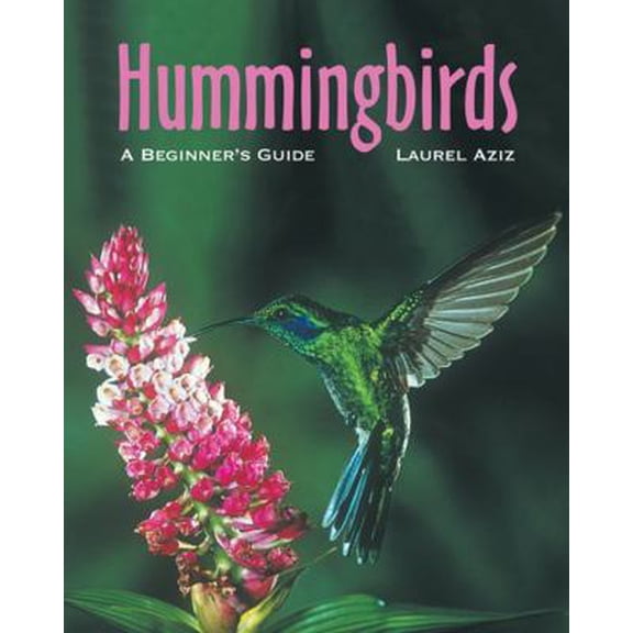 Hummingbirds: A Beginner's Guide (Paperback)