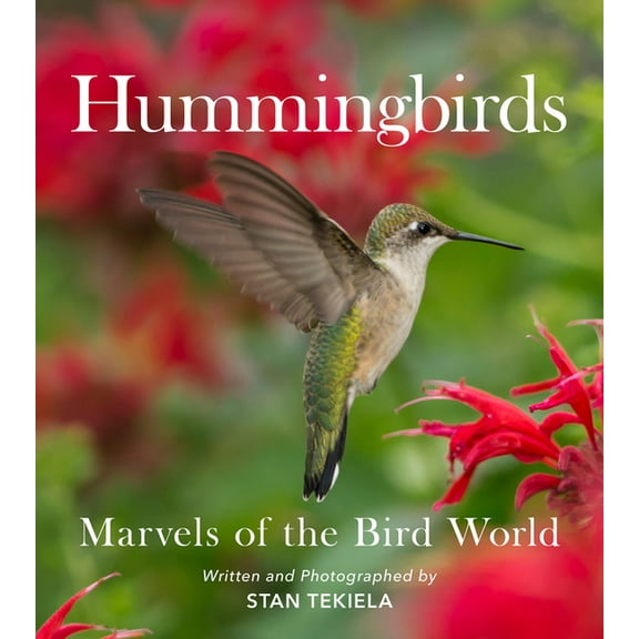 Favorite Wildlife Hummingbirds: Marvels of the Bird World, (Paperback)