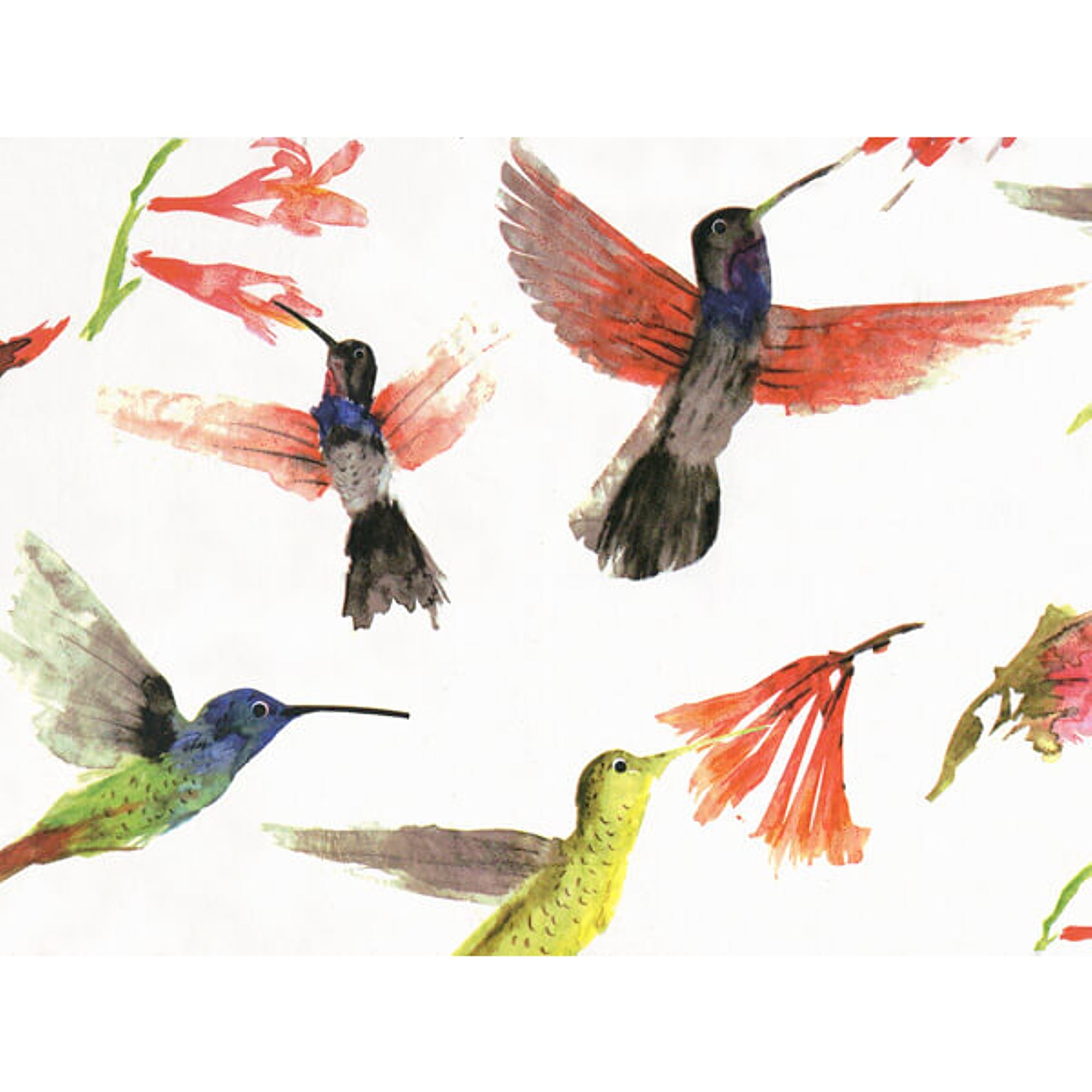 Hummingbirds Tissue Paper, 20in. X 30in. Sized Sheets - 120 Sheets (p1192)