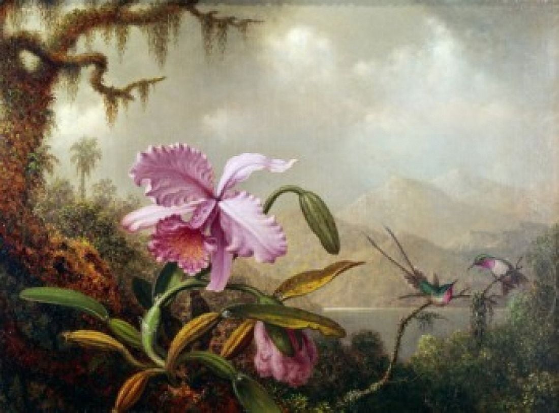 Hummingbirds and Orchids Martin Johnson Heade (1819-1904American) Canvas Art - Martin Johnson Heade (18 x 24)