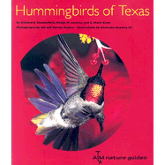 Pre-Owned Hummingbirds of Texas: With Their New Mexico and Arizona Ranges (Hardcover) by Clifford Eugene Shackelford, Madge M Lindsay, C Mark Klym