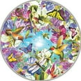 thumbnail image 1 of Hummingbirds, 1 of 1