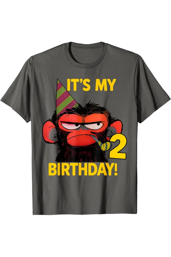 Humor Its My 2nd Birthday Grumpy Funny Monkey Meme T-Shirt, Vintage Birthday Gift