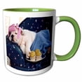 thumbnail image 1 of 3drose, Humorous Dog Resting with Curlers, 11oz Two-tone Green Mug, 1 of 6