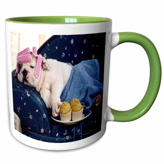 3drose, Humorous Dog Resting with Curlers, 11oz Two-tone Green Mug