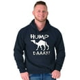 thumbnail image 1 of Hump Day Funny Wednesday Camel Gym Unisex Plus Size Hoodie Brisco Brands 5X, 1 of 6
