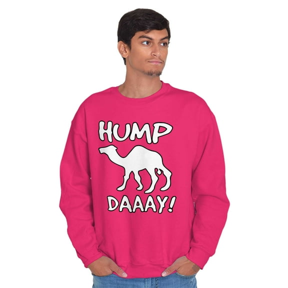 Hump Day Funny Wednesday Camel Gym Unisex Plus Fleece Graphic Sweatshirt Brisco Brands 2X