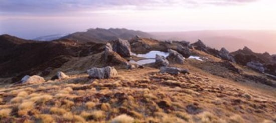 Hump Ridge Fiordland National Park New Zealand Canvas Art - Panoramic Images (30 x 14)