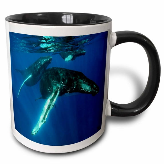 3drose, Humpback Whales, 11oz Two-tone Black Mug
