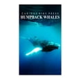 thumbnail image 1 of Humpback Whales - Curious Kids Press: Kids book about animals and wildlife, Children's books 4-6, (Paperback), 1 of 1