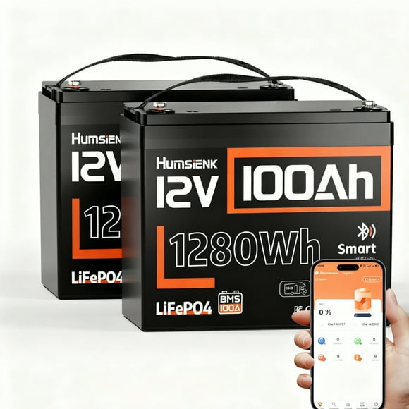HumsiENK 12V 100Ah Trolling Motors LiFePO4 Battery Bluetooth(Group 24), 100A BMS, 12V Lithium Batteries, 15000+ Deep Cycles, Low-Temp Protection for Yacht, Marine, Boat, RV, Solar, 2 Packs