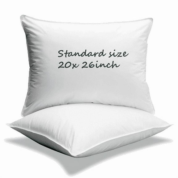 HunGoose 800FP Hungarian Goose Down 3 chamber Pillow Standard Soft