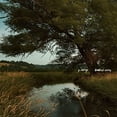 thumbnail image 1 of Hundred Acres, 1 of 2