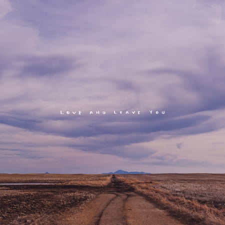 Hundred Mile House - Love And Leave You - Music & Performance - Vinyl