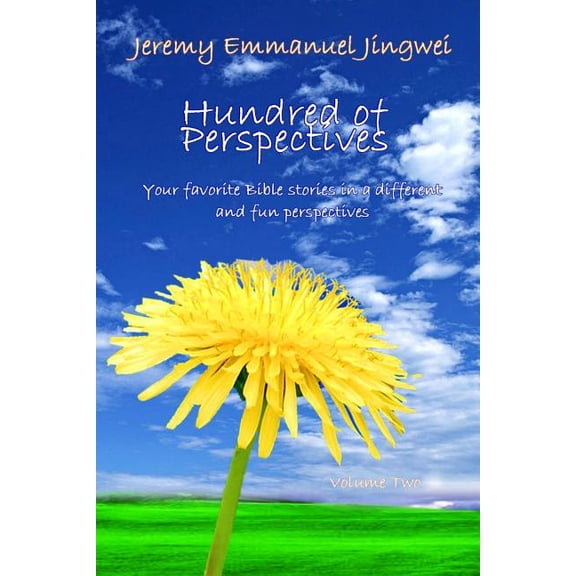 Hundreds of Perspectives: Your favorite Bible stories in a different and fun perspective (Paperback)