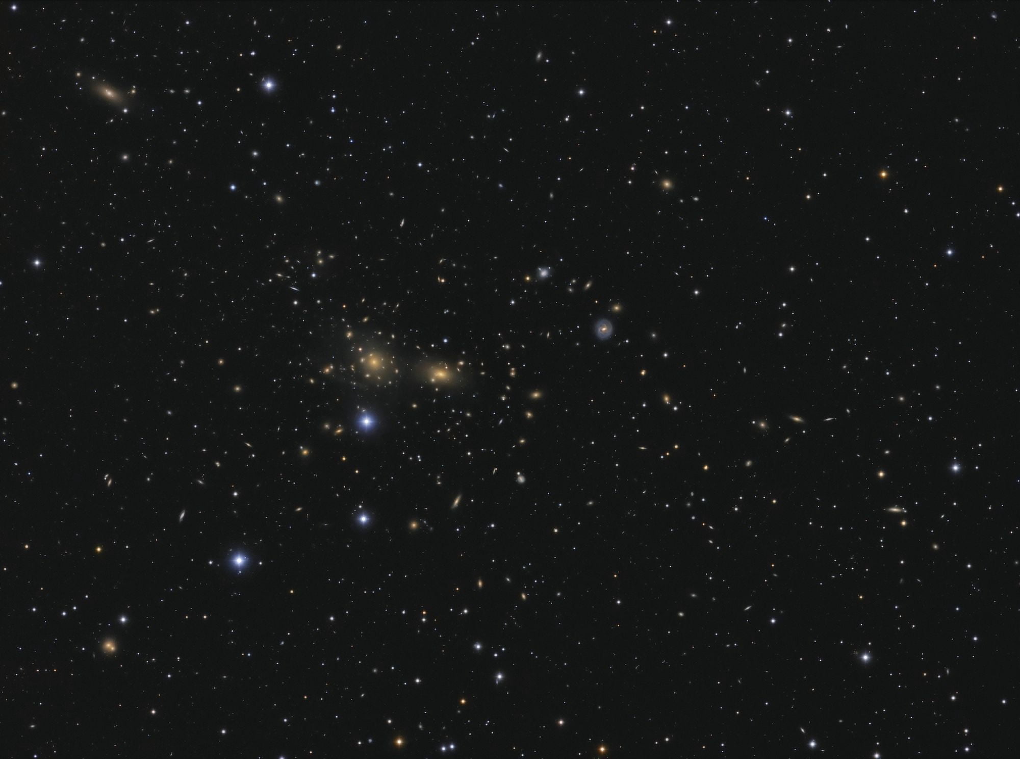 Hundreds of galaxies in the Coma Cluster Abell 1656 Canvas Art - Lorand FenyesStocktrek Images (16 x 12)