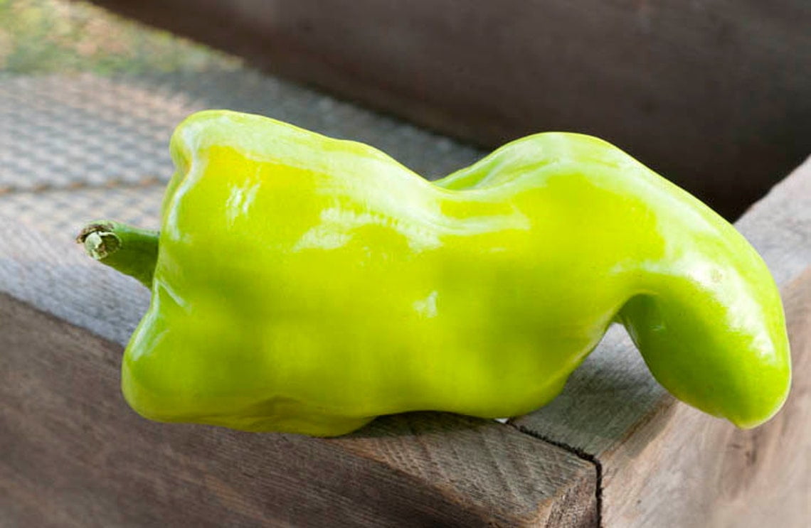Hungarian Wax Heirloom Pepper Premium Seeds Packet - Walmart.com