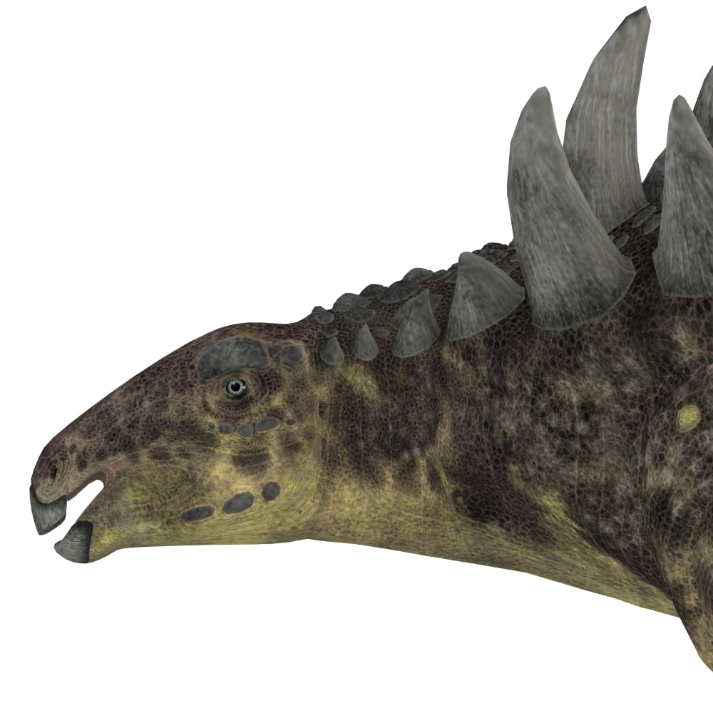 Hungarosaurus dinosaur head Canvas Art - Corey FordStocktrek Images (29 x 29)