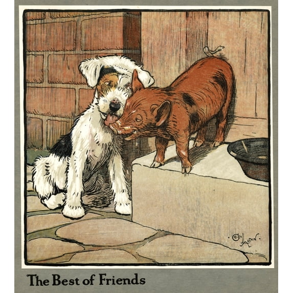 Hungry Peter As A Piglet Makes Friends With A Dog Poster Print By Mary Evans Picture Library