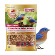 Hungrybird Energy Complete Diet, 7lb - All-Season Mealworm Suet & Mixed Nut Blend for Wild Birds