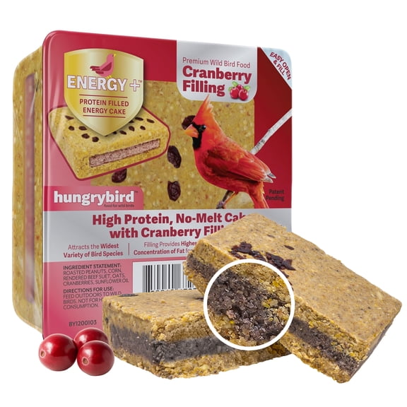 Hungrybird Energy+ No-Melt, High-Protein Suet Cake with Cranberry Filling for Outside Wild Bird Feeders