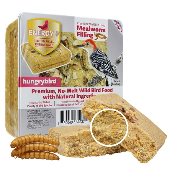 Hungrybird Energy+ No-Melt, High-Protein Suet Cake with Mealworm Filling for Outside Wild Bird Feeders