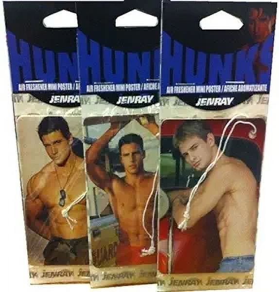 Hunks Men Male Car Air Fresheners 12/pk Assorted Designs