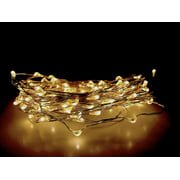 20 ft. 100-LED Integrated LED Solar Copper String Light