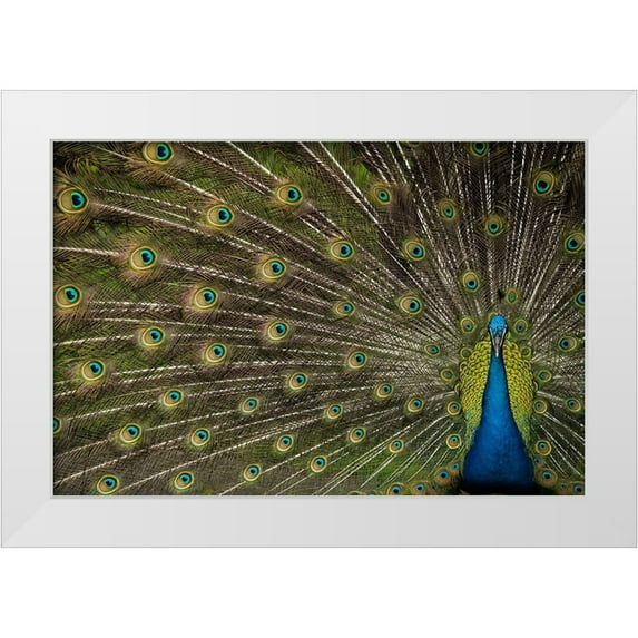 Hunt, Debbie 32x23 White Modern Wood Framed Museum Art Print Titled - Wild Beauty