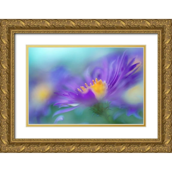Hunt, Gillian 14x11 Gold Ornate Wood Framed with Double Matting Museum Art Print Titled - Gold and Purple in the Mist IV