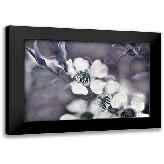 Hunt, Gillian 18x13 Black Modern Framed Museum Art Print Titled - Tales from an Enchanted Glen III