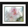 thumbnail image 1 of Hunt, Gillian 18x15 Black Ornate Wood Framed with Double Matting Museum Art Print Titled - Hope in Pink II, 1 of 4