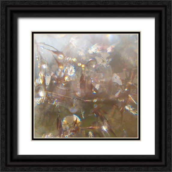 Hunt, Gillian 20x20 Black Ornate Wood Framed with Double Matting Museum Art Print Titled - Angel Drops II