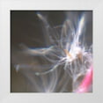 thumbnail image 1 of Hunt, Gillian 20x20 White Modern Wood Framed Museum Art Print Titled - Fairy Dance IV, 1 of 4