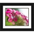 thumbnail image 1 of Hunt, Gillian 24x19 Black Ornate Wood Framed with Double Matting Museum Art Print Titled - Glorious in Red VI, 1 of 4