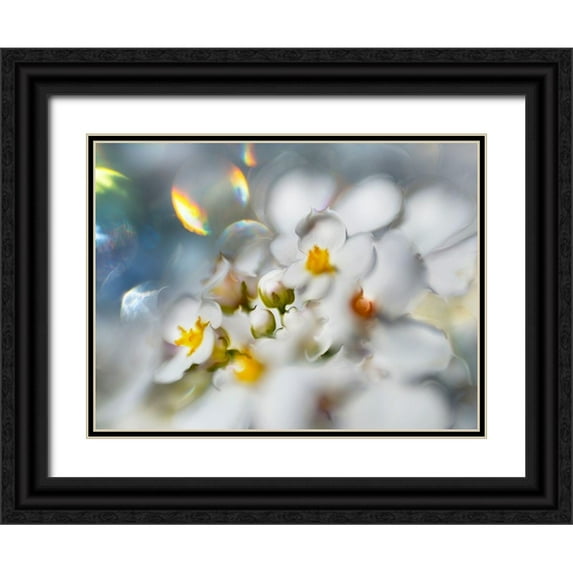 Hunt, Gillian 24x19 Black Ornate Wood Framed with Double Matting Museum Art Print Titled - Jewels of the Enchanted Forest III