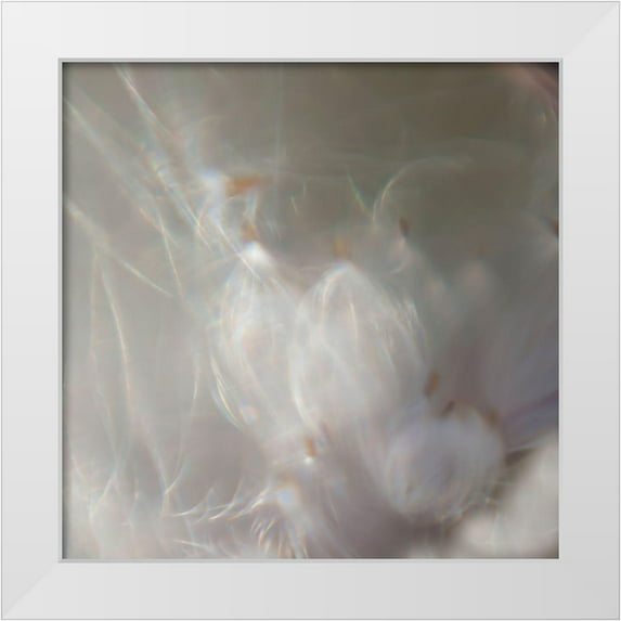 Hunt, Gillian 26x26 White Modern Wood Framed Museum Art Print Titled - Fairy Dance III