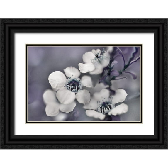 Hunt, Gillian 32x23 Black Ornate Wood Framed with Double Matting Museum Art Print Titled - Tales from an Enchanted Glen II