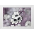 thumbnail image 1 of Hunt, Gillian 32x23 White Modern Wood Framed Museum Art Print Titled - Tales from an Enchanted Glen IV, 1 of 4