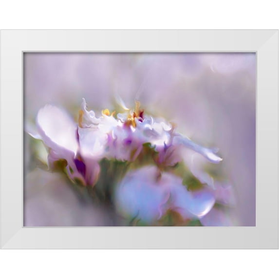Hunt, Gillian 32x25 White Modern Wood Framed Museum Art Print Titled - Mist of Lilac III