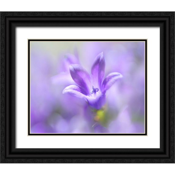 Hunt, Gillian 32x26 Black Ornate Wood Framed with Double Matting Museum Art Print Titled - Ring the Bells of Change II