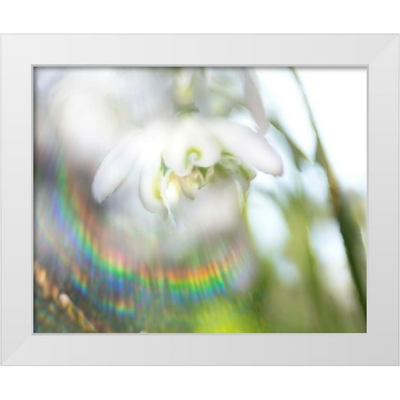 Hunt, Gillian 32x26 White Modern Wood Framed Museum Art Print Titled - Glorious in Rainbow II